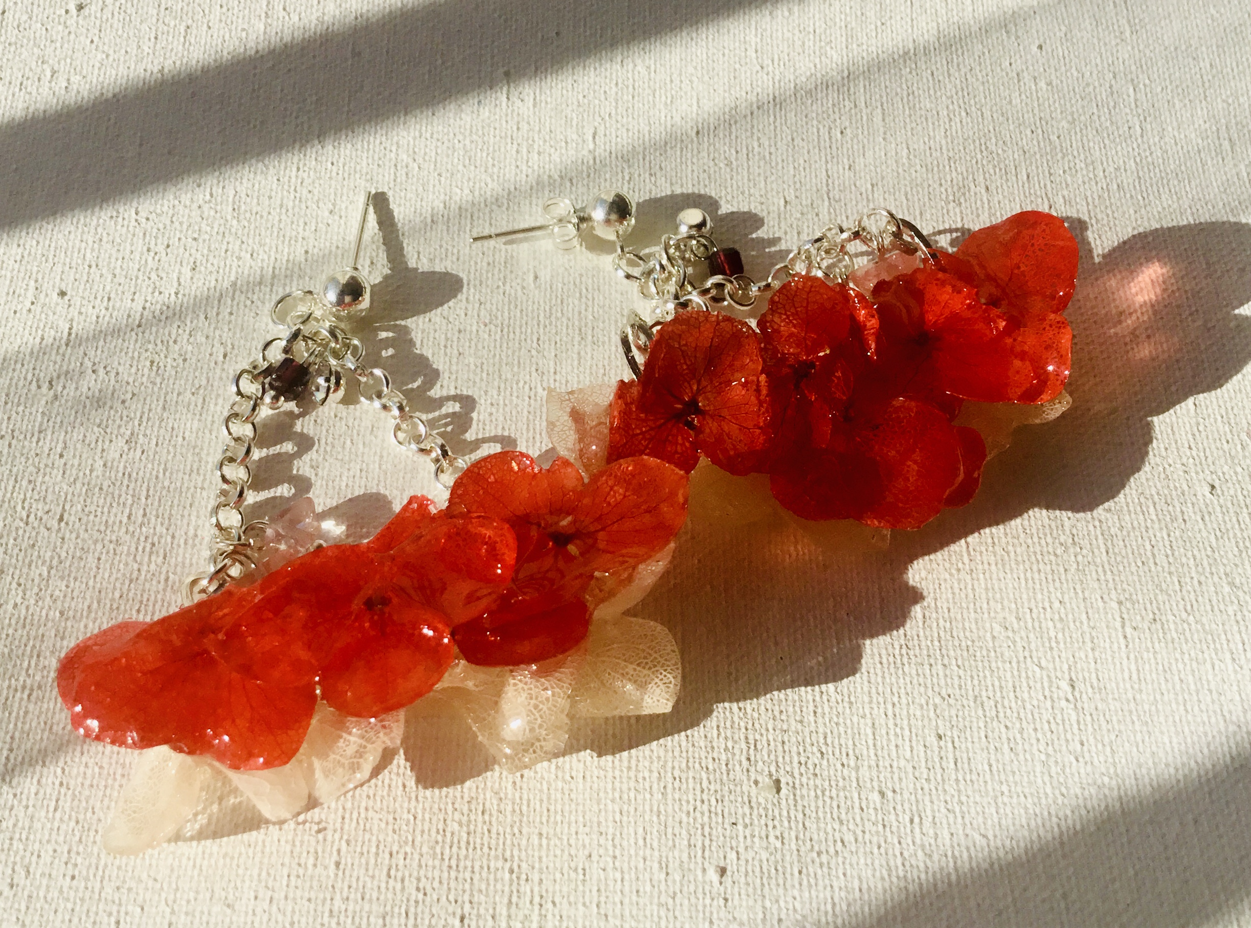 Real hortensia flowers earrings
