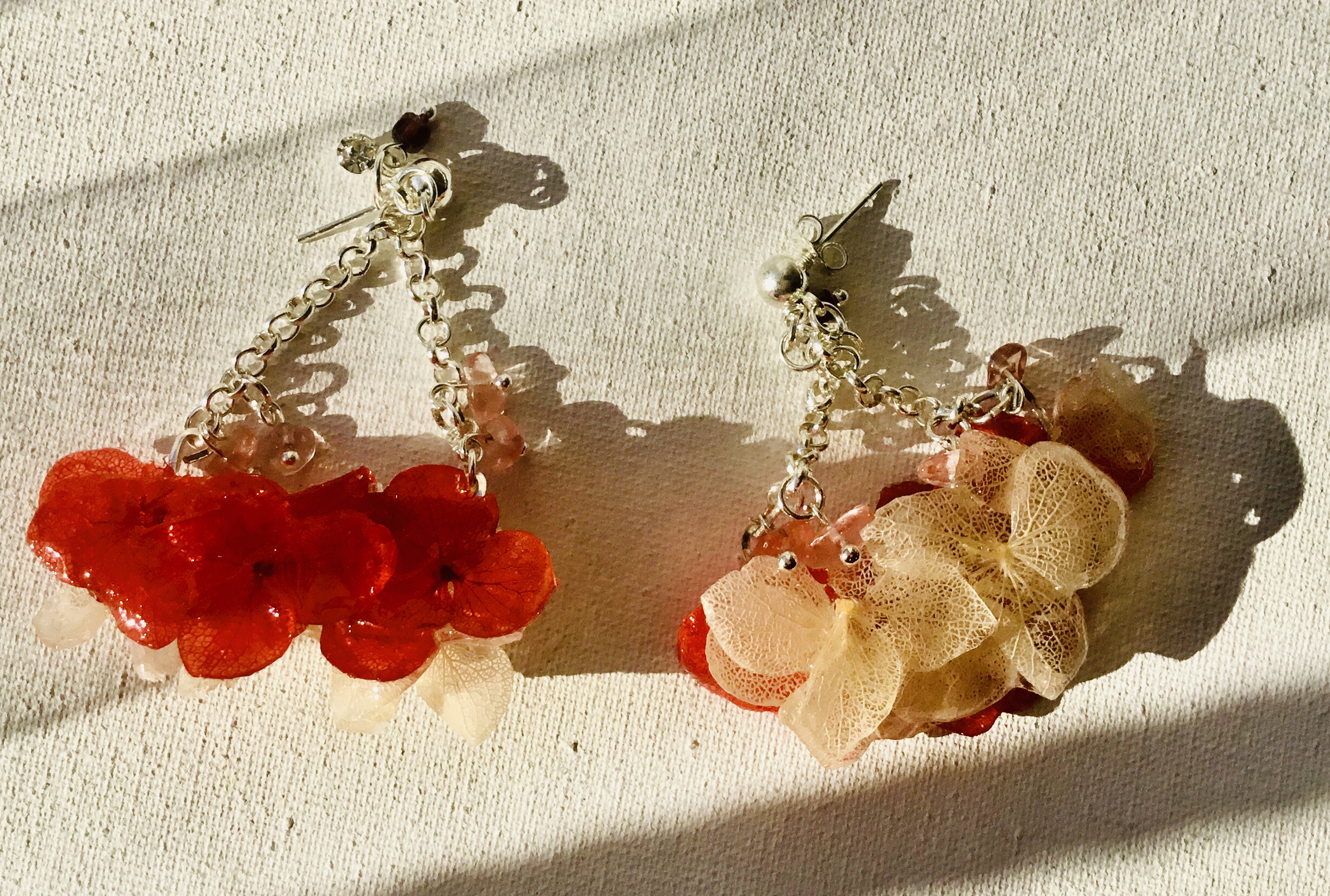 Real hortensia flowers earrings