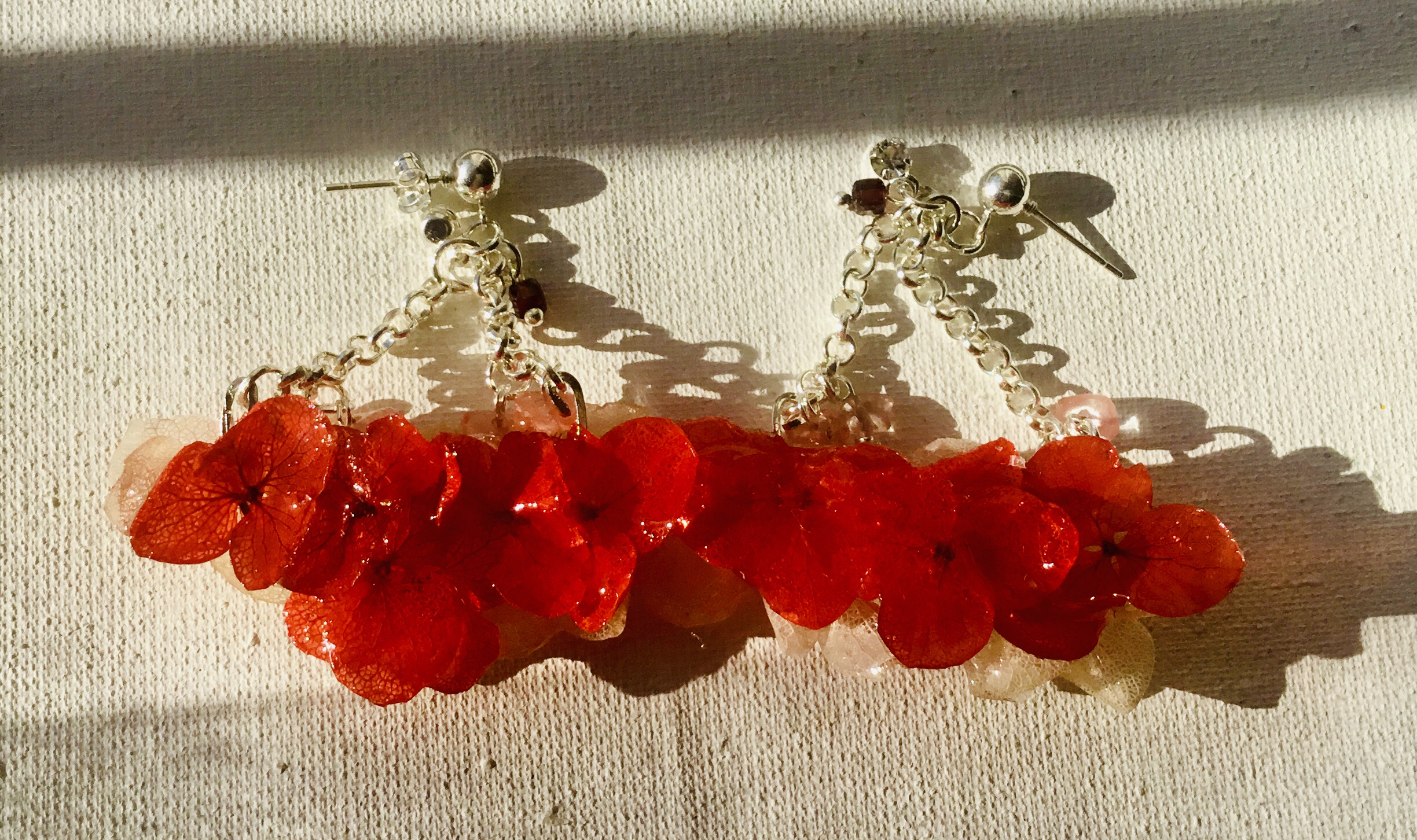 Real hortensia flowers earrings